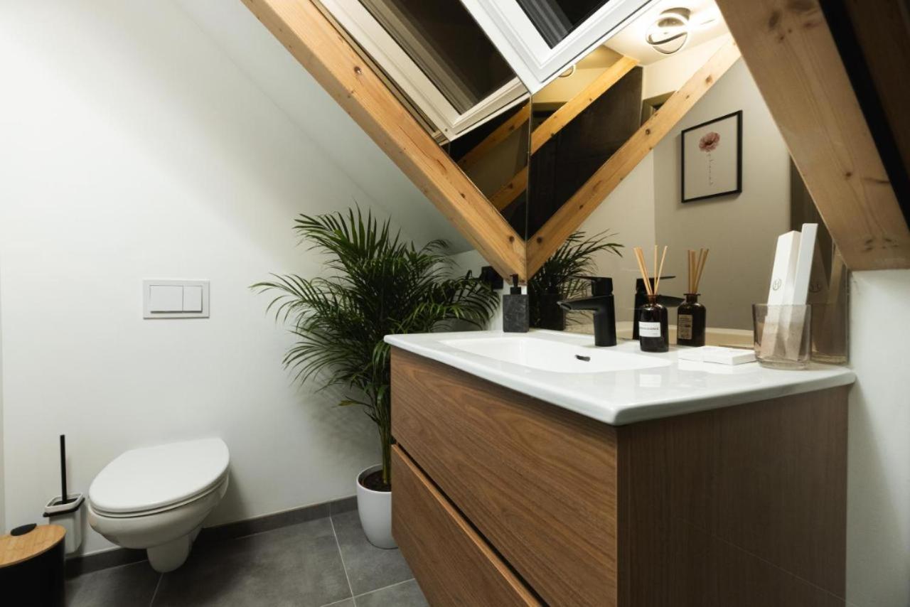 Olive Residence Baia Mare Dış mekan fotoğraf