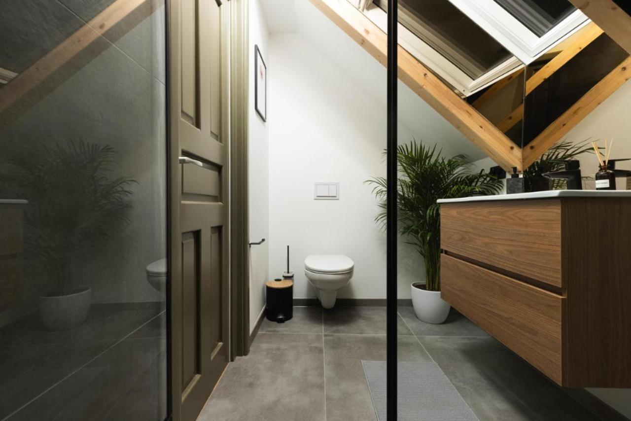 Olive Residence Baia Mare Dış mekan fotoğraf